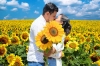 Turismo y naturaleza se combinan en el festival entre girasoles