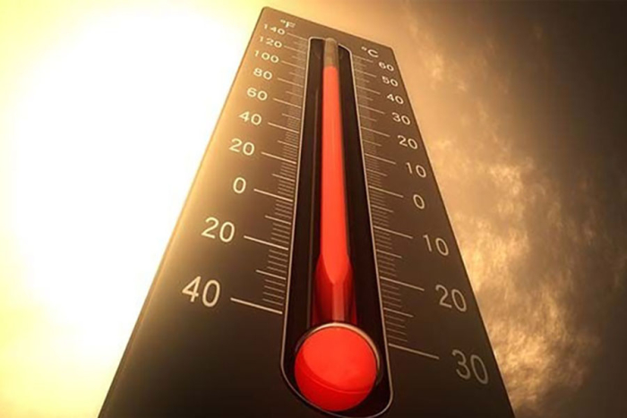 Las condiciones más cálidas y secas también impulsaron el número de incendios forestales alrededor del mundo