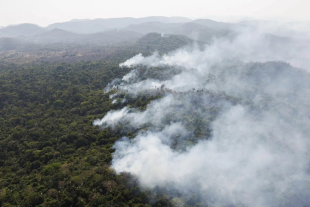 Incendios forestales en Brasil cayeron a su nivel más bajo en 25 años durante 2025, con una reducción histórica del 69%.
