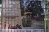 ¡Qué no se te pase! Inicia el programa de acopio de árboles naturales de Navidad 2025