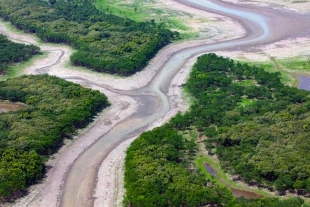 Rómulo Batista, portavoz de Greenpeace en aquel país sudamericano, afirmó que en 2024 la sequía arribó más temprano a varias regiones locales