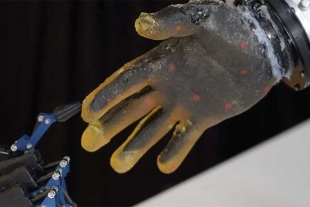 Esta tecnología detecta y procesa diversas señales físicas, lo que permite a los robots interactuar con el mundo físico de forma más significativa