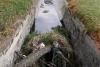 Vecinos de Capultitlán piden se  limpien los canales ubicados en Calzada al Pacífico