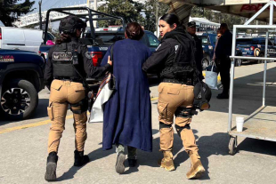 Una mujer fue detenida como probable responsable de robo hormiga