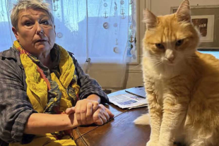 Uno de los vecinos tomó la decisión de llevar las quejas a un poder con más autoridad