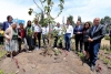 ¡Merecido! Árbol de las manitas, en Toluca, es declarado bien cultural y patrimonial