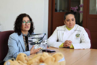 Este seminario, coordinado por la universitaria Norma Baca Tavira, contó con la presentación de tres conferencias