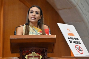 alinas propuso que, de aprobarse la iniciativa, estas actividades podrán ser suspendidas hasta que implementen las medidas necesarias