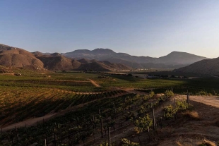 Tecate es el único Pueblo Mágico localizado en una frontera