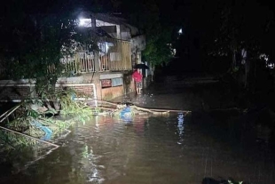 La caída de agua, también provocó que algunos árboles se vinieran abajo