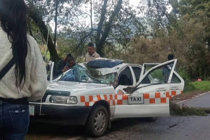 De acuerdo con testigos, el accidente ocurrió cuando las lluvias de los últimos días reblandecieron el terreno