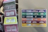 IEEM: votar con acordeón es legal, pero coaccionar el voto no