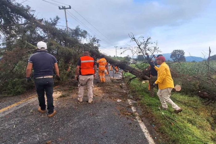 Tras varias horas de maniobras, la circulación fue restablecida