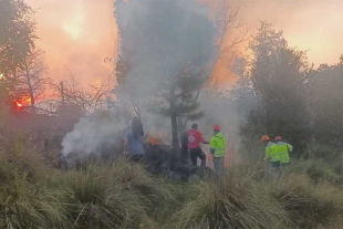 Las autoridades reiteraron el llamado a la ciudadanía para reportar de inmediato cualquier conato de incendio a los servicios de emergencia