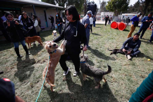 Ambas partes también establecieron que se acatarán las resoluciones judiciales en el juicio civil que inició la Fundación Haghenbeck