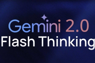 Gemini 2.0 Flash Thinking se puede describir como una herramienta que muestra explícitamente sus pensamientos