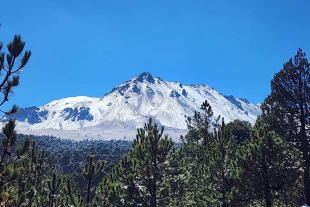 Este nuevo acuerdo es una clara prueba de su compromiso por buscar mecanismos y acciones que beneficien a los bosques