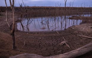 Hace aproximadamente 252 millones de años, el planeta Tierra enfrentó la mayor extinción masiva de su historia