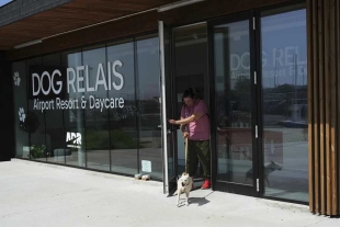 Dog Relais cuenta con un total de 40 habitaciones