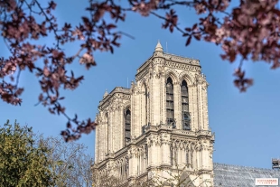 El presidente de Francia, Emmanuel Macron, confirmó que ahora las y los visitantes podrán volver a subir las torres