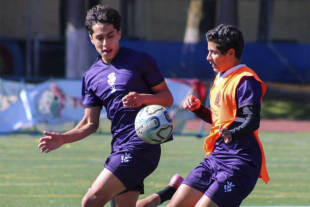 La &quot;Ola Morada&quot; ha dejado muestras de su contundencia