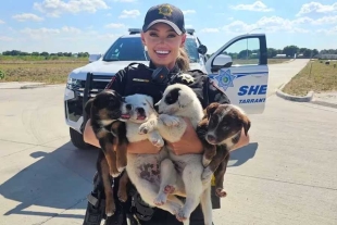 La policía local rescató a 8 cachorros que habían sido abandonados a su suerte sin agua