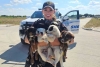 ¡Bien ahí! En Texas, rescatan a 8 cachorros abandonados bajo el calor extremo