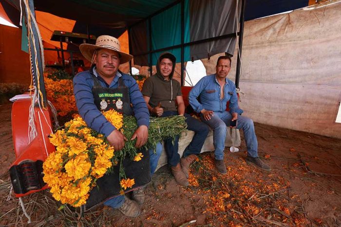 La tradición florícola en la zona tiene más de 20 años