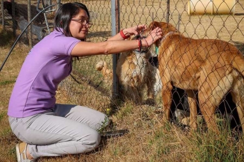 Especialista UAEMéx promueve una tenencia responsable para mascotas