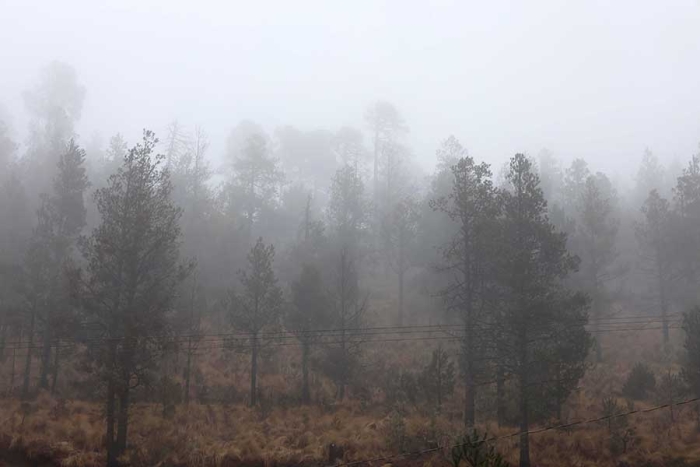 En lo que va del año, esta sería la tercera ocasión que autoridades de la Comisión Nacional de Áreas Naturales Protegidas CONANP cierra el acceso al Volcán Xinantecatl