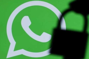 WhatsApp detalló que próximamente los usuarios podrán crear un nombre único para su cuenta,