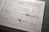 ¡Un auténtico tesoro! Polonia compra inédita balada manuscrita de Chopin