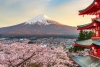 El monte Fuji es 5 centímetros más alto de lo que se pensaba, aseguran topógrafos japoneses