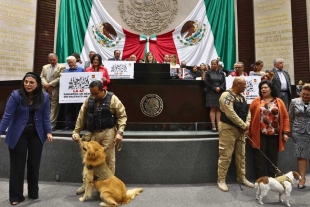 Establece la prohibición del maltrato hacia los animales 