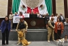 Aprueban reforma constitucional para prohibir el maltrato animal; Aquí te decimos de qué va
