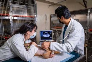 Javier del Ángel hizo la invitación a la comunidad universitaria y público en general a asistir al Hospital Veterinario de Pequeñas Especies de la UAEMéx