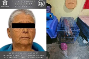 Los caninos y felino rescatados se les trasladó al Centro de Control y Bienestar Animal respectivo, para su cuidado y resguardo.