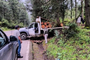 El aseguramiento busca inhibir la tala clandestina y el aprovechamiento ilícito de materias primas forestales