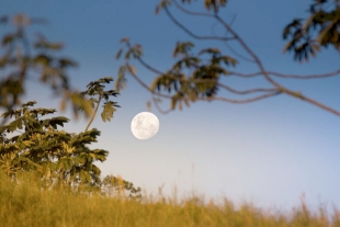 ¿Por qué a veces se ve la luna en el día?