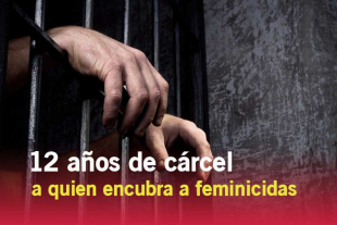 La sanción será de hasta 8 años de prisión, y podrá aumentar a 12 años