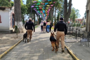 Los elementos que van a brindar seguridad se van a desplegar en los 11 panteones