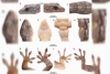Descubren en china una nueva especie de gecko que podría explicar su evolución