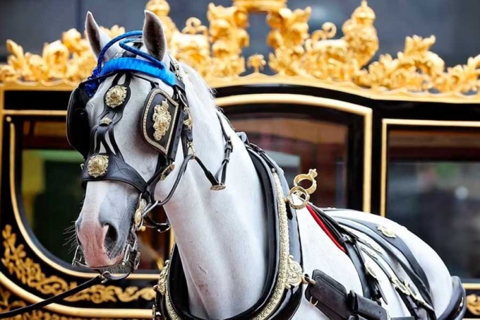 La contribución de los caballos a la historia y cultura británica se remonta a tiempos antiguos