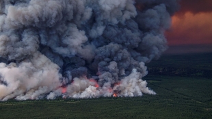 Esta situación fue revelada mediante un estudio publicado en la revista Nature