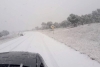 Caen primeras nevadas en Chihuahua