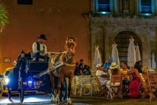 La ciudad prohibió su circulación en el Centro Histórico y los sustituirá por carruajes eléctricos para evitar el maltrato animal
