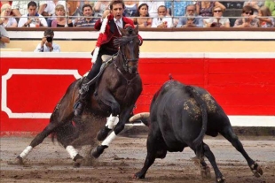 La administración local subrayó su compromiso con la normatividad y la protección de los derechos de los animales