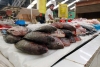 Depende la vigilia del precio de pescados y mariscos esta Cuaresma