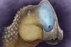 Coahuilasaurus: Dinosaurio hallado en México recibe nombre en honor a estado