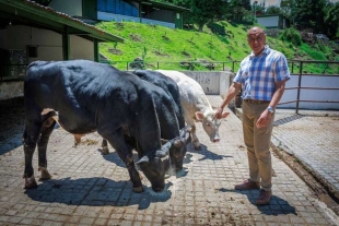 Destacó que los beneficios del establecimiento de praderas perennes multiespecie son, en general, la disminución de costos de producción